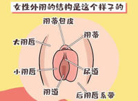 女性私密部位图科普，外阴结构样子图(涨知识)