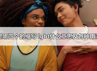 lgbt是哪四个的缩写 lgbt什么意思及各种用法解读