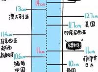 男性标准长度和粗度多少？附世界各国丁丁平均长度