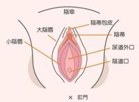 教程丨新手找不到入口准确位置怎么办