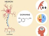 多巴胺会让人快乐吗？同时伴随着欲望和上瘾！