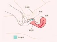 G点是什么意思