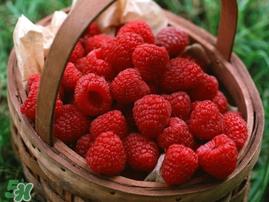 树莓多少钱一斤 树莓价格