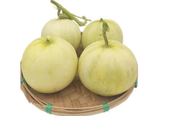 香瓜多少钱一斤 香瓜几月份成熟