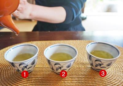 日本茶叶哪个好 日本茶叶茶种介绍
