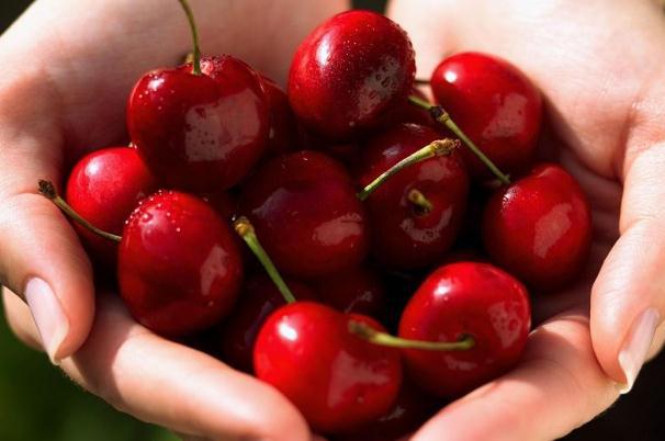 樱桃的作用和功效 吃樱桃的好处是什么