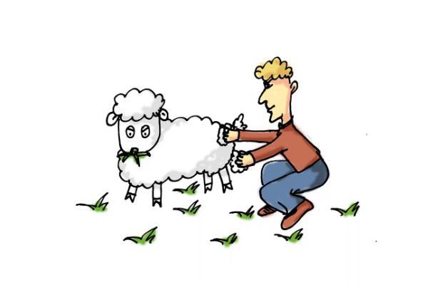 薅羊毛是什么意思 薅羊毛是什么梗