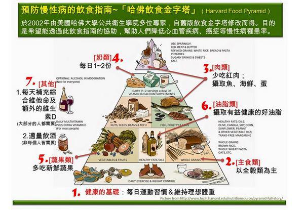 饮食金字塔结构图片正着吃还是倒着吃