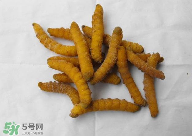 豆虫多少钱一斤市场价格2022 豆虫可以做什么菜