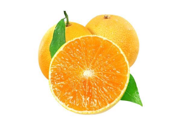 果冻橙的产地在哪里 果冻橙的季节