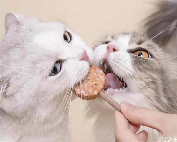猫零食有哪些 猫咪猫条推荐