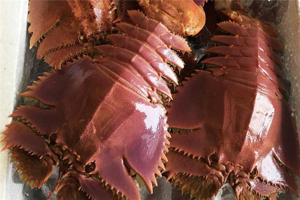 琵琶虾的做法 琵琶虾怎么做好吃