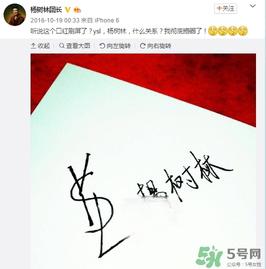 YSL为什么叫杨树林口红 YSL为啥叫杨树林