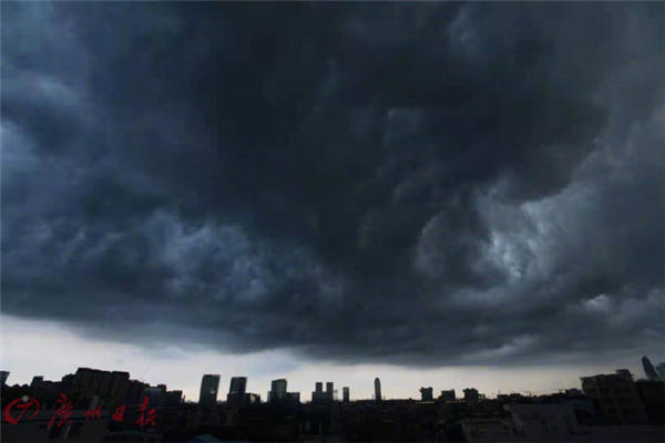 郑州又将迎来暴雨 暴雨要注意什么