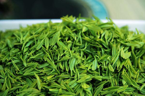 绿茶什么时候喝最好 绿茶什么季节喝最好