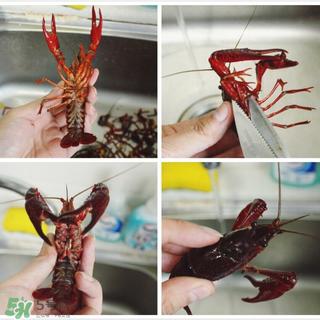 小龙虾怎么做好吃 小龙虾的做法大全