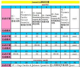 insanity是什么 能减肥吗