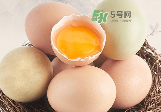 毒鸡蛋对人有什么危害_怎么分辨有毒鸡蛋