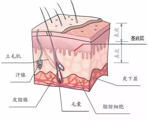 面膜的正确用法 面膜怎么用效果最好