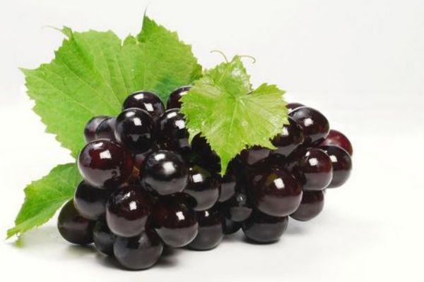 夏黑葡萄是什么葡萄呢 夏黑葡萄有什么营养价值呢