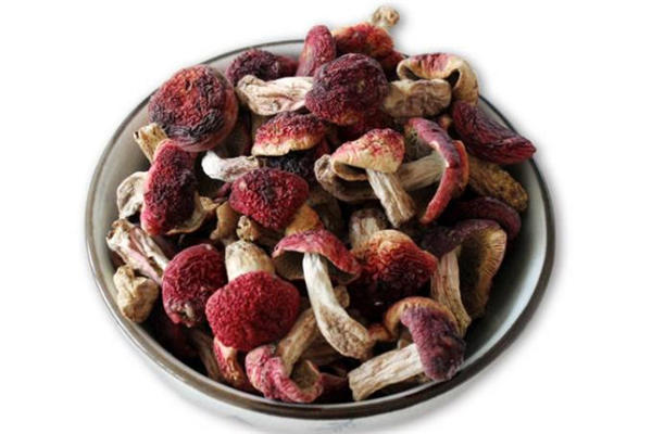 红蘑菇怎么做好吃 红蘑菇能治肺癌吗