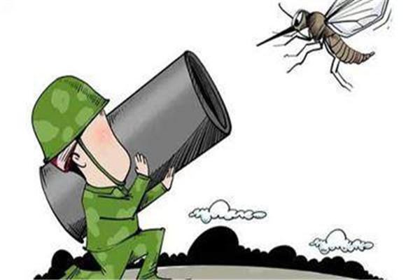 蚊子怕什么植物 蚊子怕什么