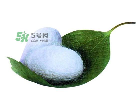 蚕茧多少钱一斤2017？2017年蚕茧价格是多少？