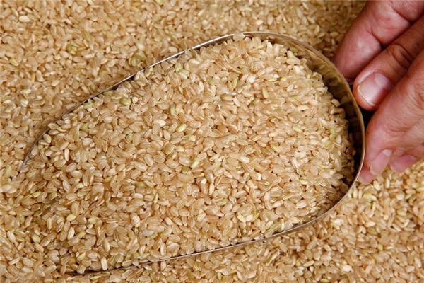 糙米是什么米 各种加工米的区别