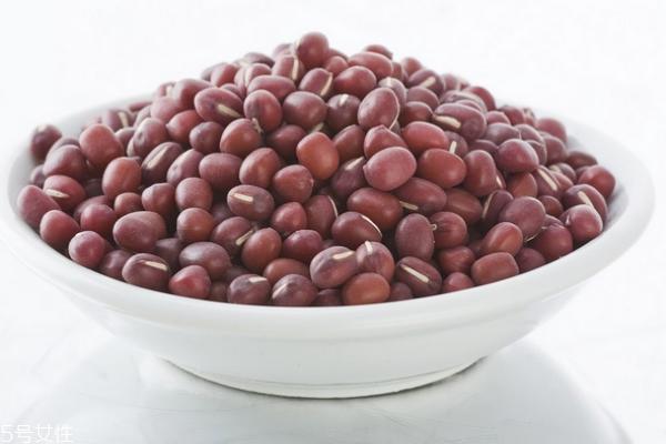 红豆有几种 大致分为三种