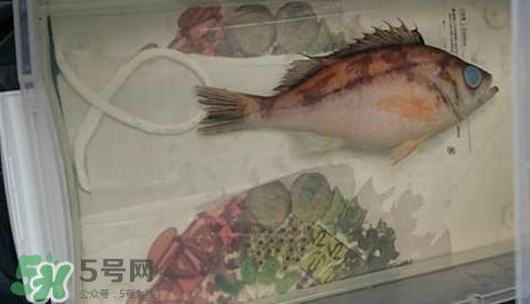 福尔马林是什么?福尔马林是甲醛吗