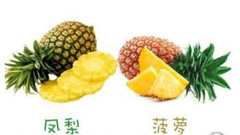 菠萝和凤梨到底什么关系 生物学上是同一种水果