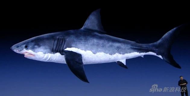 鬼鲨鱼是什么样子的，长得像外星生物(附图片)