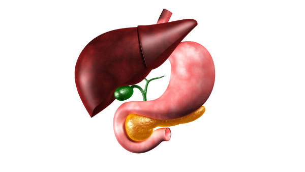 肝脾肿大的症状是什么？