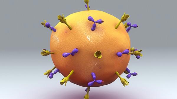 新冠病毒传染的途径是什么？新型冠状病毒通过什么传染？
