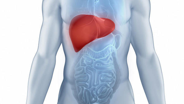 乙型肝炎有什么症状？这四种症状很常见！
