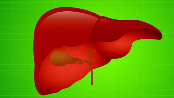 脂肪肝患者的饮食疗法是什么？重度脂肪肝多久恢复