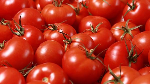 西红柿是瘦身圣品吗？推荐超有效的晚间西红柿减肥法