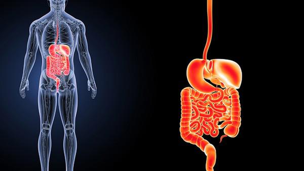 肠胃功能紊乱有哪些症状