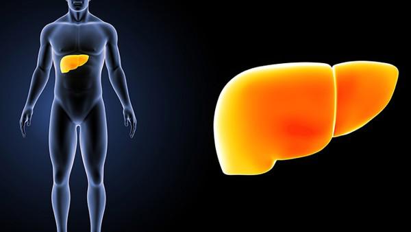 脂肪肝的原因是什么？如何才能摆脱脂肪肝？