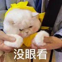 夹小玩具出门,往下边塞东西逛街是什么感觉?