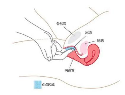 每个女生都有g点吗，怎么找到自己的G点教程图片