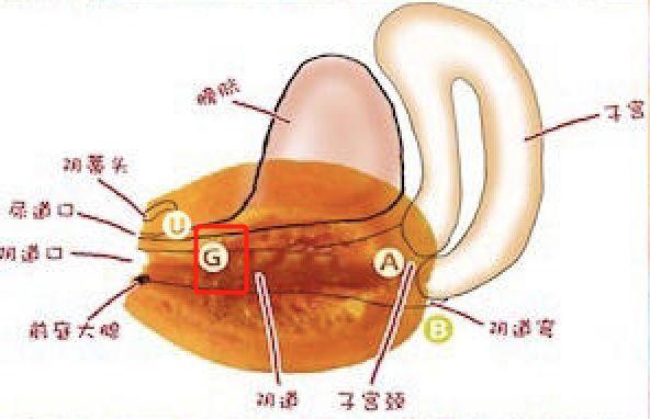 多重高潮到底是一种怎样的体验