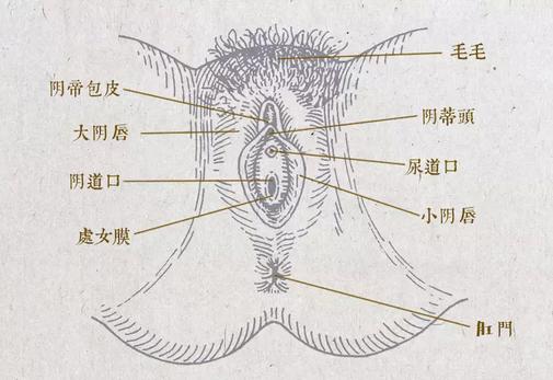 揉豆豆——五招带你上云端