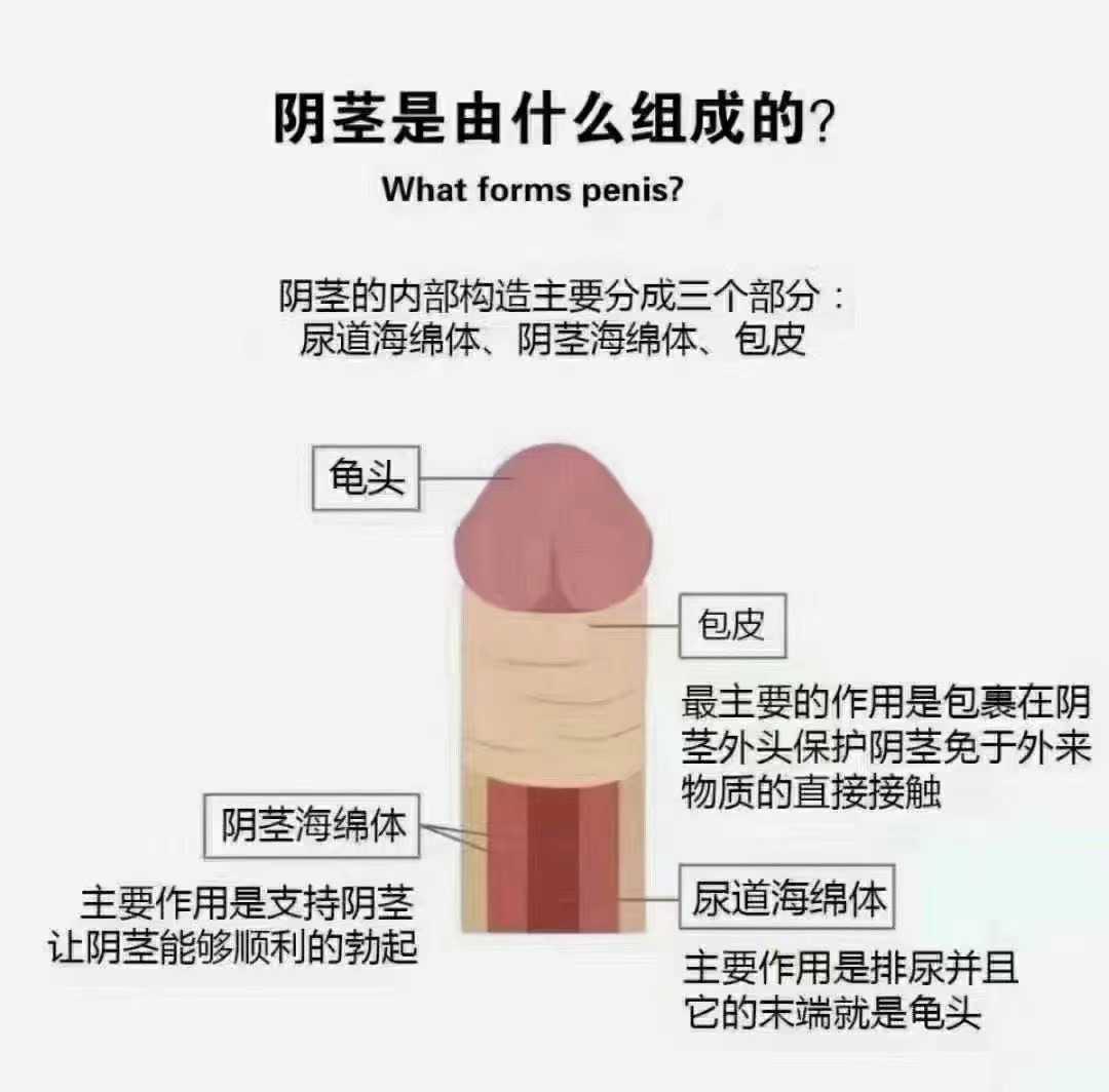 女人为什么不怕大只怕长呢