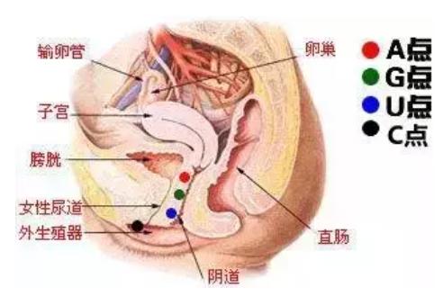 怎样自己扣自己的有感觉