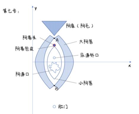 女生下面长什么样儿,女生私处实拍