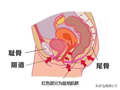 女人床上活儿好的标准