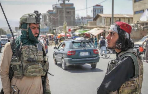 外交部回应阿富汗塔利班宣布建国