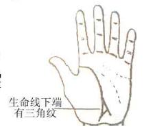 马云手相三角纹放大照
