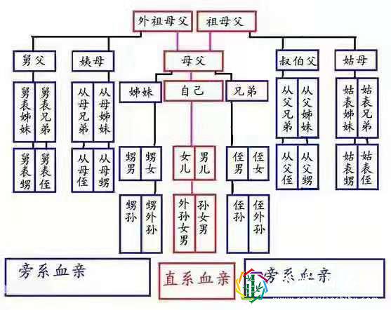 政审三代是指哪三代